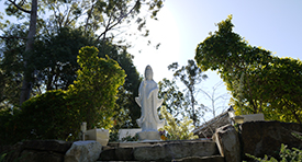 Tình Thương Chân Thật